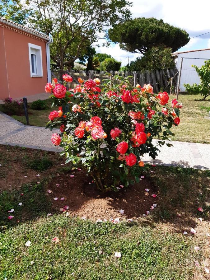 Appartement Independant A 10Min Des Plages Au Calme Proche O'Gliss Et O'Funparken Campagne La Jonchere Екстериор снимка